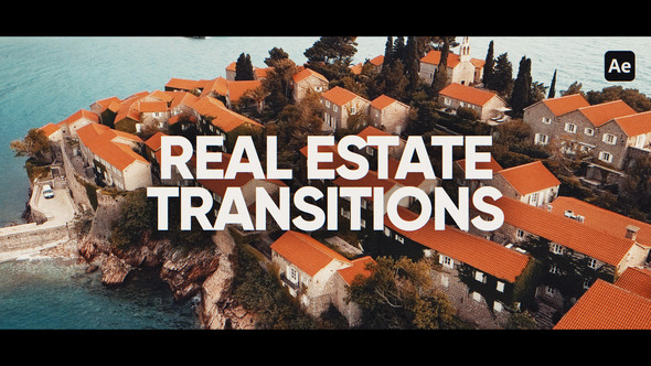 Real Estate Elements template preview