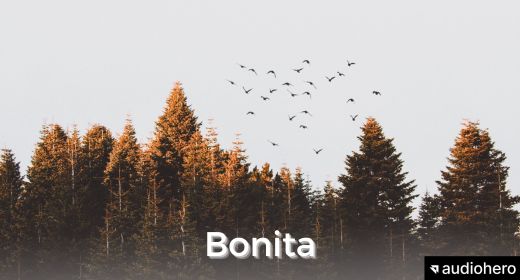 Bonita by AudioHero (Folk Indie Corporate)