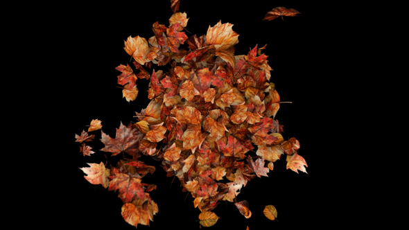 Autumn Leaves Particles Burst no Plugins Elements template preview