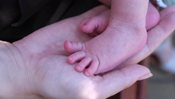 A baby's legs are in a mother's arms. Feet of a tiny newborn baby in a woman's arms.