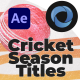 Red Ball Cricket Titles - VideoHive Item for Sale