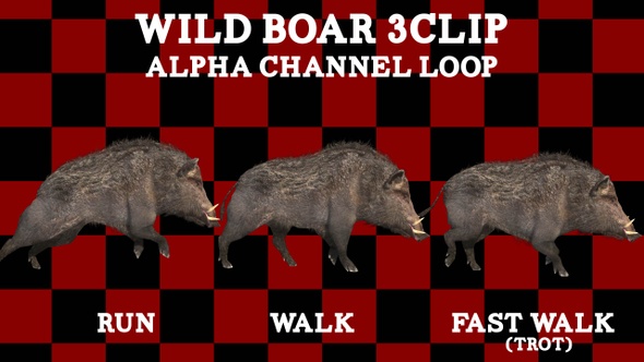 Wild Boar 3Clip Loop