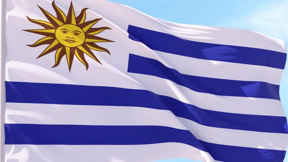 Uruguay Flag Looping Background