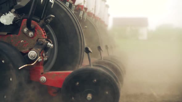 sowing the field with corn grains. tractor works the field with a seeder.