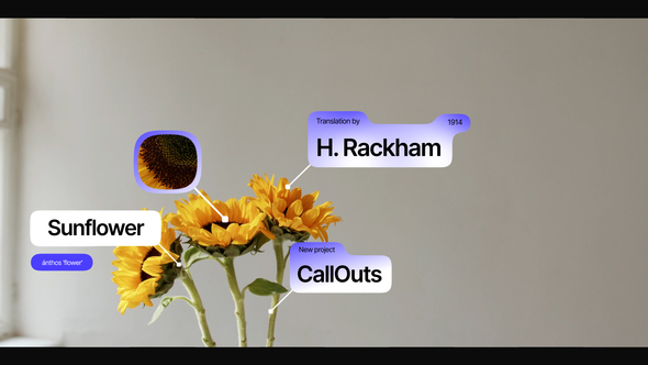 CallOuts Infographics template preview