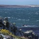 Rough Sea In the Falkland Islands (Islas Malvinas). - VideoHive Item for Sale