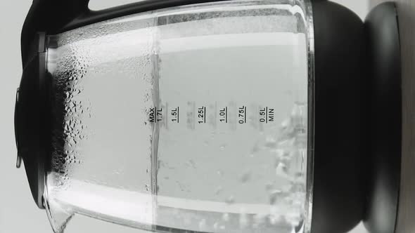 Vertical Video In a Electric Kettle with Transparent Glass Walls Water Boils