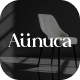 Ap Aunuca - Furniture & Home Decor  Shopify Theme