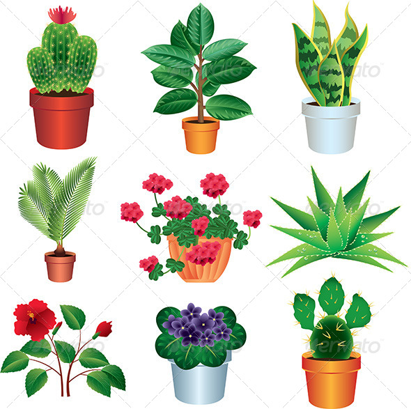 Home Plants Vector Set by andegro4ka | GraphicRiver