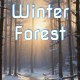 Winter Forest