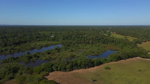 Pantanal Wetlands in Brazil