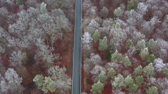 Aerial view of empty rural road through forest, Steigerwald, Germany alt