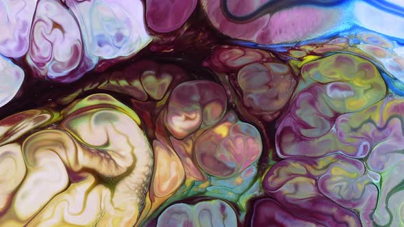 Abstract Colorful Food Paint Diffusion Spread 095 alt