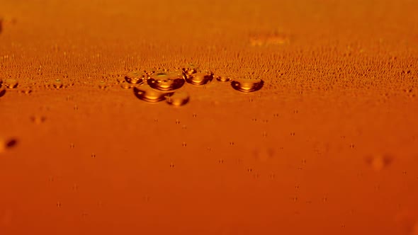 Detail of Beer Glass with Carbonated Liquid alt