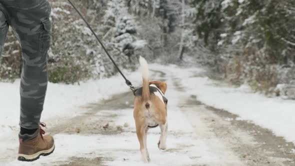 Man Runs with a Dog in Winter Into Forest. Slow Motion