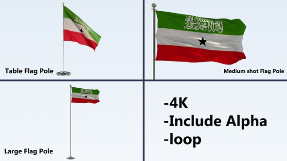 Somaliland Flag Pole Pack 4k-Loop alt