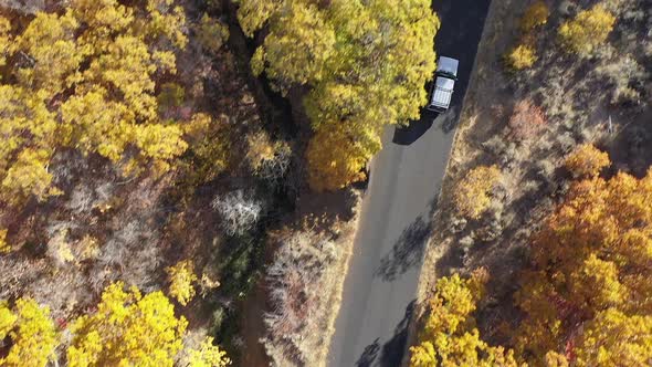 Top down view of vehicles driving on road through during in Fall alt