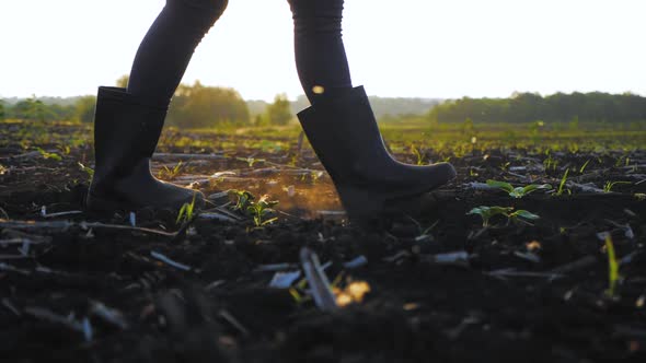 Agricultural Business alt