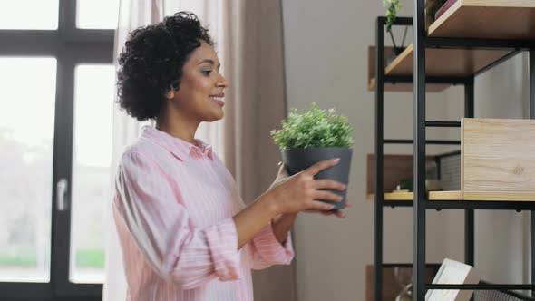 Woman Decorating Home with Flower or Houseplant