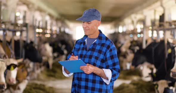 Agriculture Farmer Working on Cowshed alt