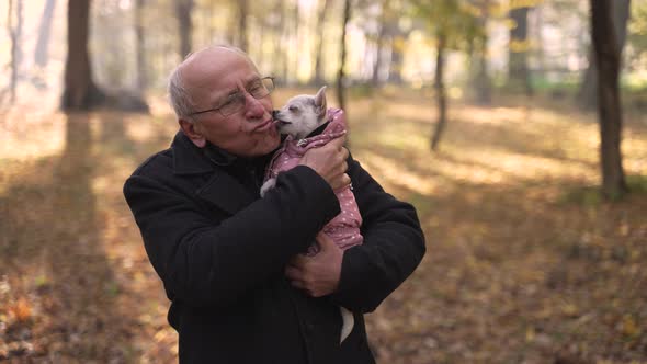 Cute Little Dog Licking Elderly Male Owner Outdoor alt