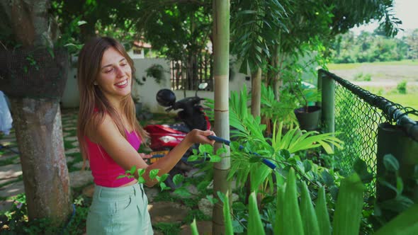 Watering Palm Trees