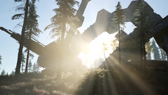 UFO Crashed in the Forest alt