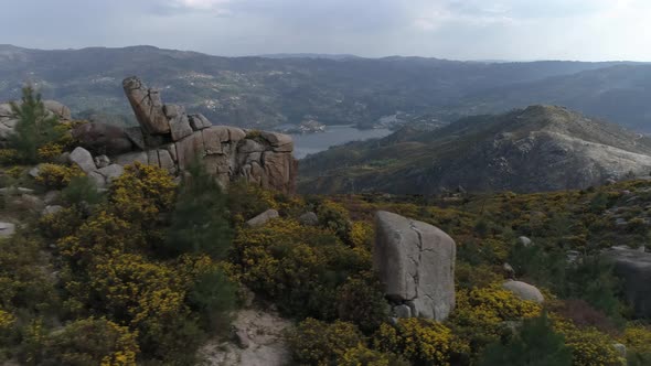 View of Calm Wildlife of Nature alt