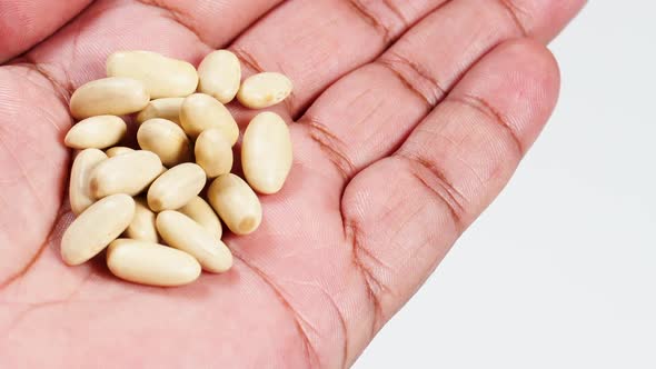 Hand Palm Holds White Cannellini Beans