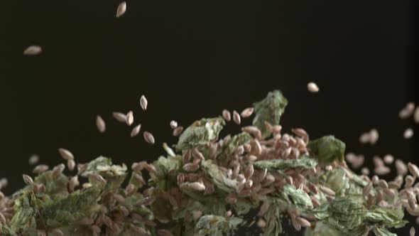Hops and barley in super slow motion.  Shot on Phantom Flex 4K high speed camera.