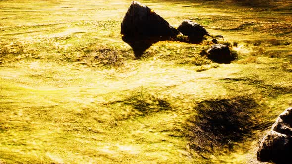 Beautiful Dramatic Summer Outdoor Scenery alt