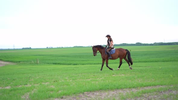 Woman ride on horseback in green field. Horsewoman wearing brown hat ride on a horse