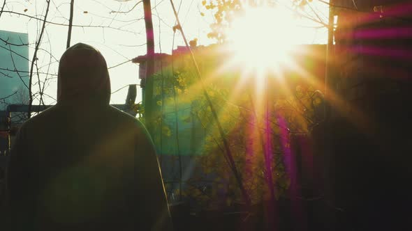 The Rays Of The Sun Illuminate A Thinking Person, A Dreamy Guy Looks Into The Sky With Beautiful alt