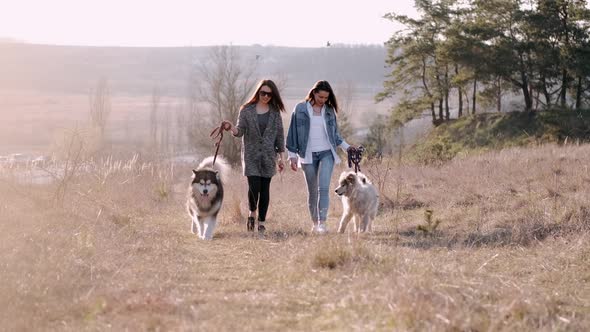 Two Young Pretty Women Are Walking with Fluffy Cute Dog in the Field alt