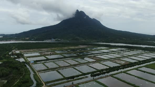 Prawn Fish Farm Aerial alt