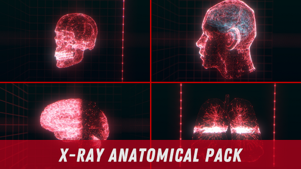 X-Ray Anatomical Pack