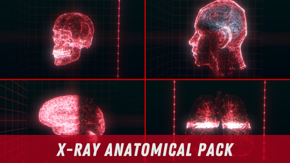 X-Ray Anatomical Pack alt