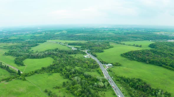 Green Forest And Road alt