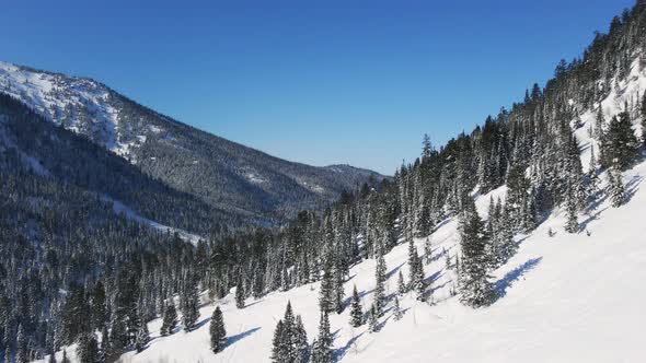 Winter Landscape with Mountain Valley Covered with Evergreen Forest Under Snow alt