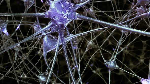 Neural Network Inside the Brain alt