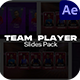 Team Player Slides Animation Pack - VideoHive Item for Sale