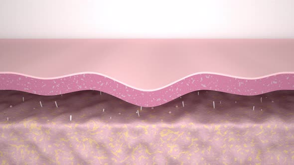 Medical 3d animation showing a process of skin rejuvenation