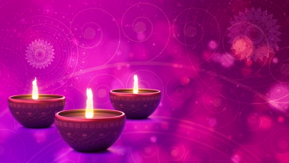 Diwali Festival of Light Cerebration 06