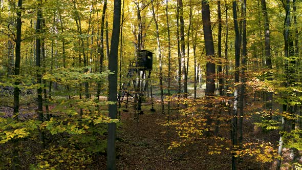 Hunter High-Seat in Autumn Forest Aerial Drone Shot