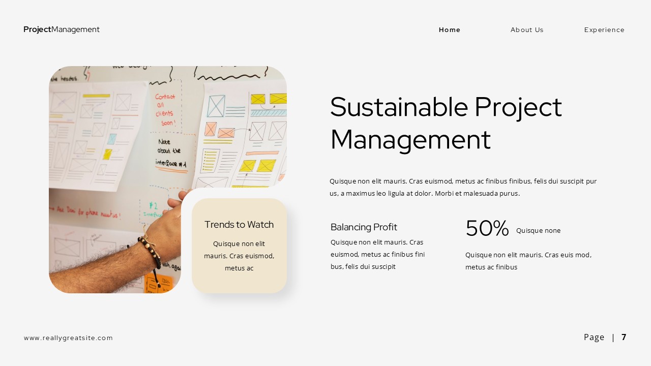 Project Management PowerPoint Presentation, Presentation Templates