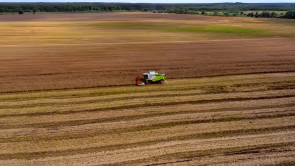 Harvesting of wheat in summer. Two harvesters working in the field alt