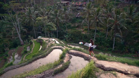 Travel Woman in Rice Field Exploring Lush Green Rice Terrace Walking in Cultural Landscape Exotic