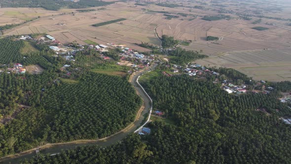 Drone view winding river at oil palm alt