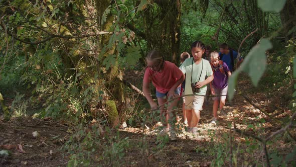 Kids at summer camp going on a nature hike