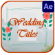 Wedding And Holidays Animations for After Effects - VideoHive Item for Sale